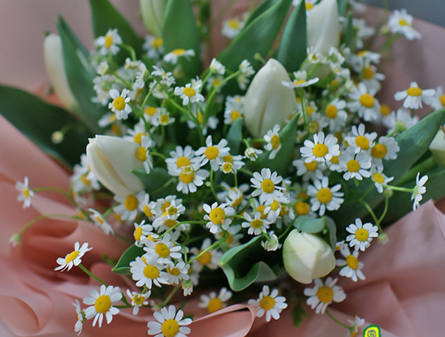 Bouquet of white tulips and chamomile Matricaria photo
